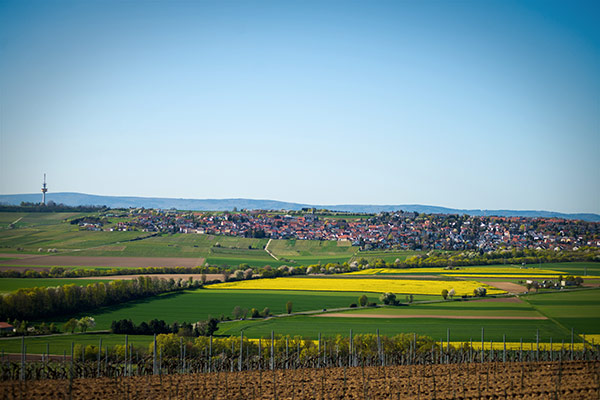 Panoramabild der Gemeinde Ober-Olm mit Feldern und Wiesen im Sommer